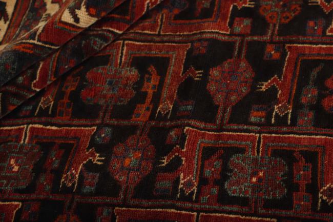Shiraz - 2