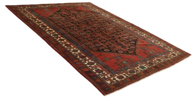 Shiraz - 4