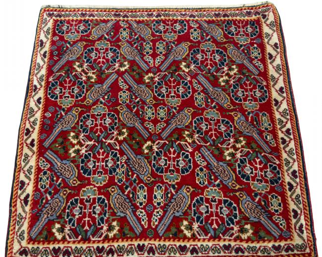 Shiraz - 3
