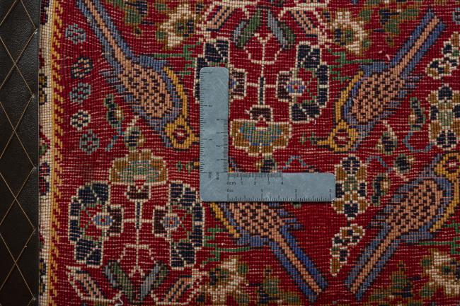 Shiraz - 4