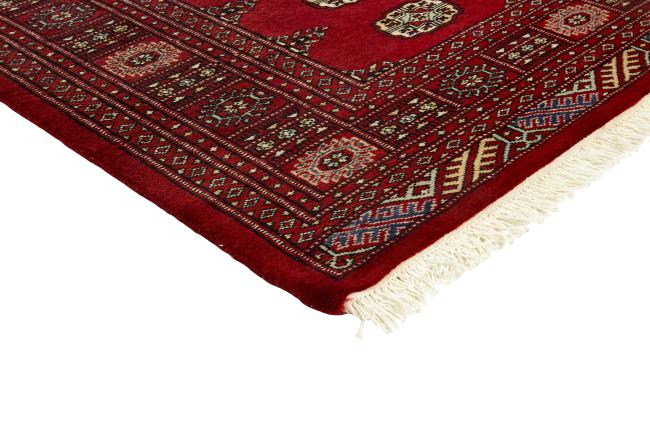 Pakistan Buchara 2ply - 3