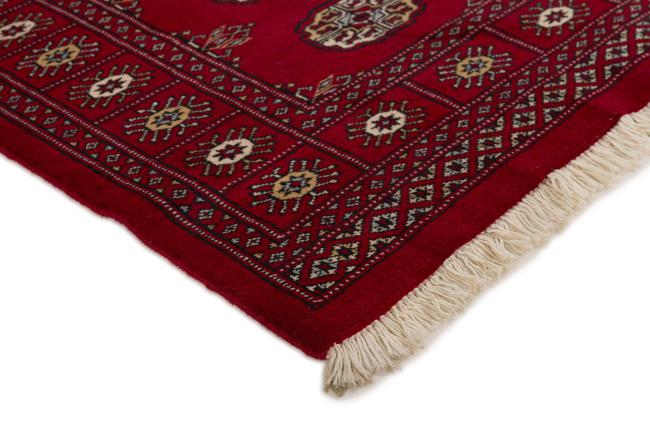 Pakistan Buchara 2ply - 3