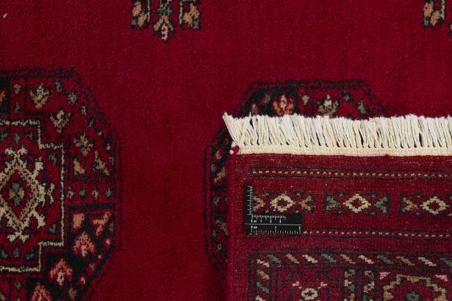 Pakistan Buchara 3ply - 1