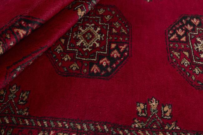 Pakistan Buchara 3ply - 2