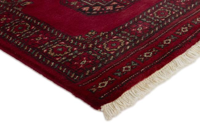 Pakistan Buchara 3ply - 3