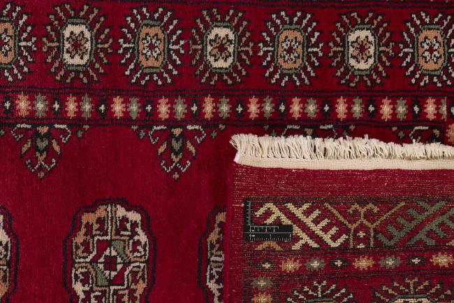 Pakistan Buchara 3ply - 1
