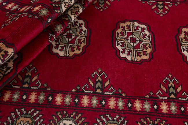 Pakistan Buchara 3ply - 2