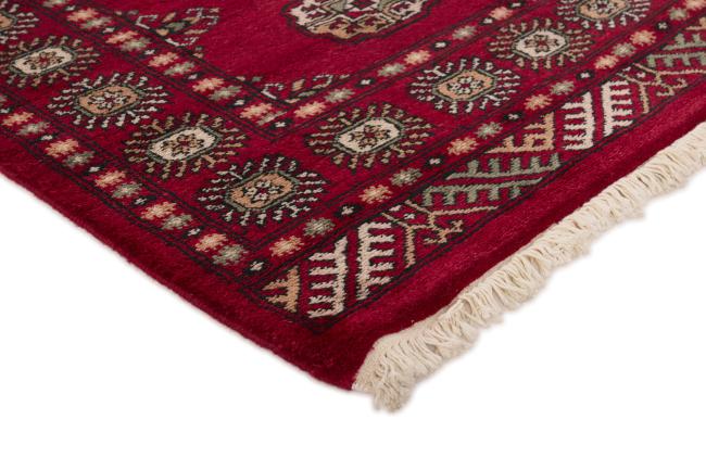 Pakistan Buchara 3ply - 3