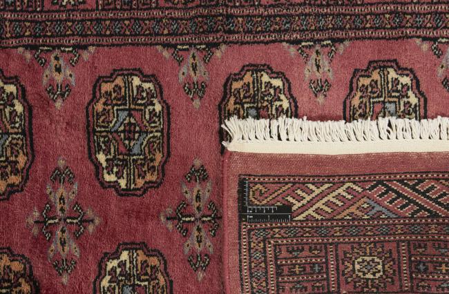 Pakistan Buchara 3ply - 1
