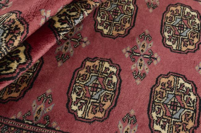 Pakistan Buchara 3ply - 2