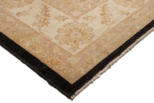Ziegler Farahan - 7