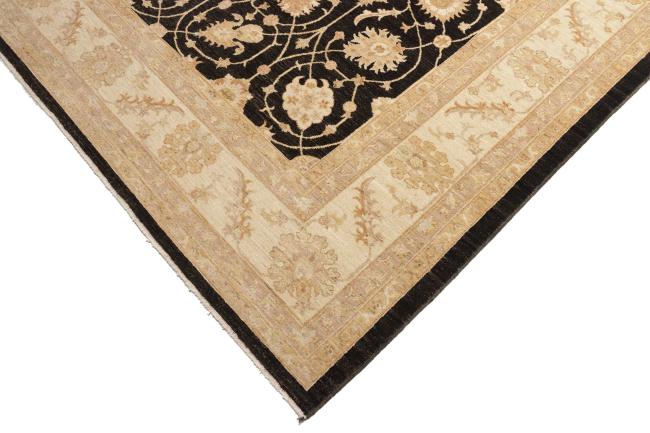 Ziegler Farahan - 8