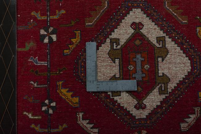 Shiraz - 4