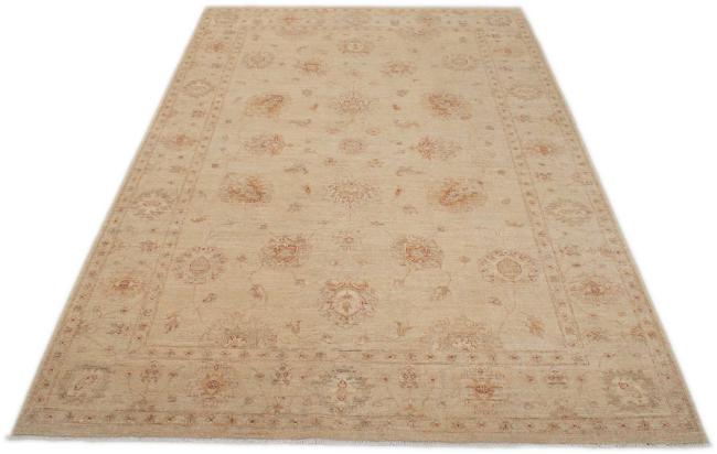 Ziegler Farahan - 3