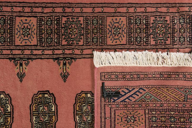 Pakistan Buchara 2ply - 1