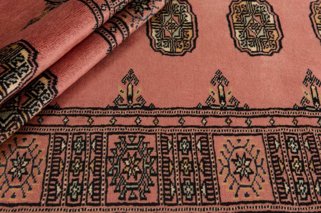 Pakistan Buchara 2ply - 2