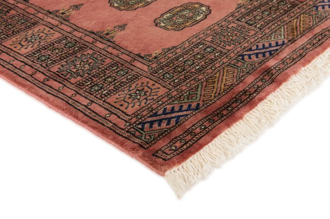 Pakistan Buchara 2ply - 3