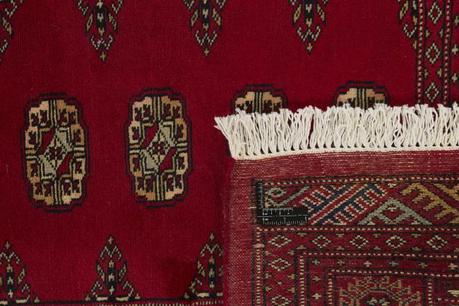 Pakistan Buchara 2ply - 1