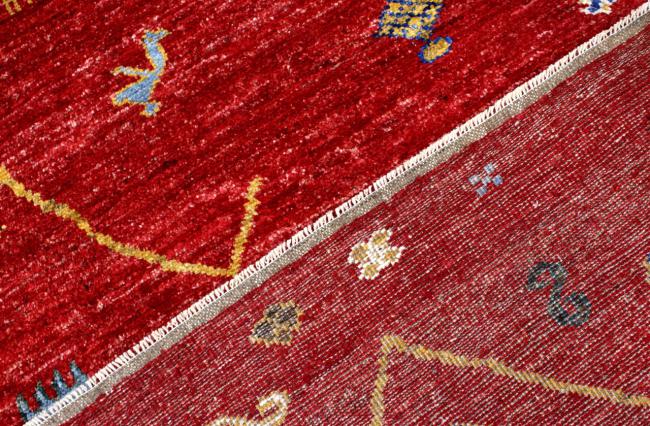 Berber Ghashghai - 4