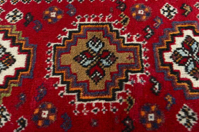 Shiraz - 5