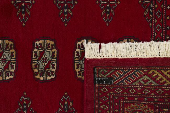 Pakistan Buchara 2ply - 1