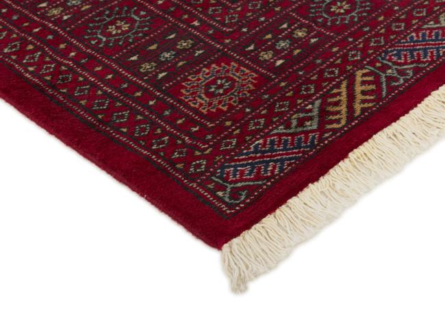 Pakistan Buchara 2ply - 3