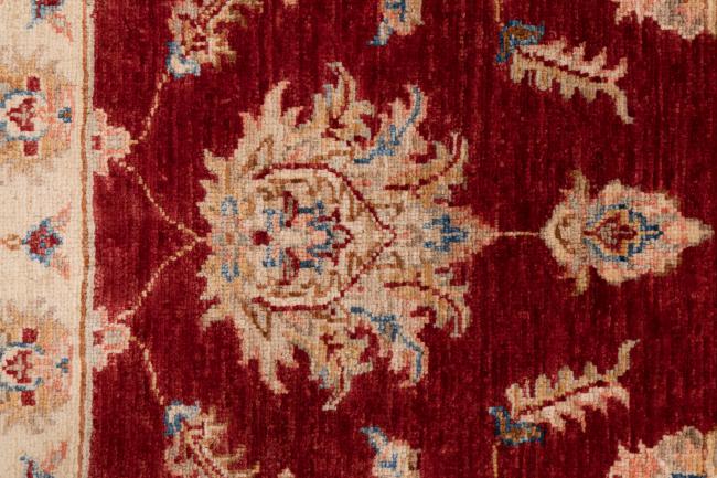 Ziegler Farahan - 6