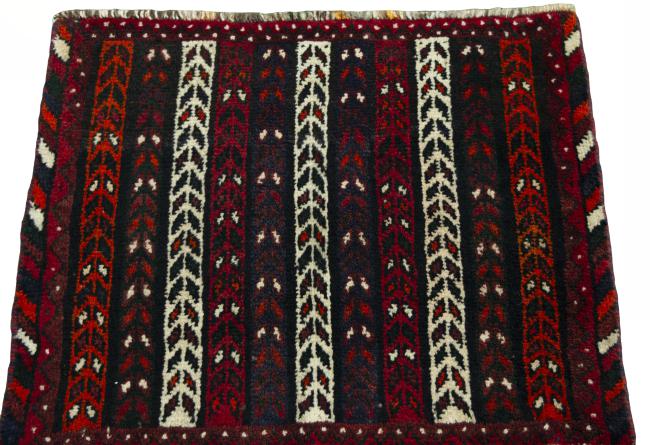 Shiraz - 3