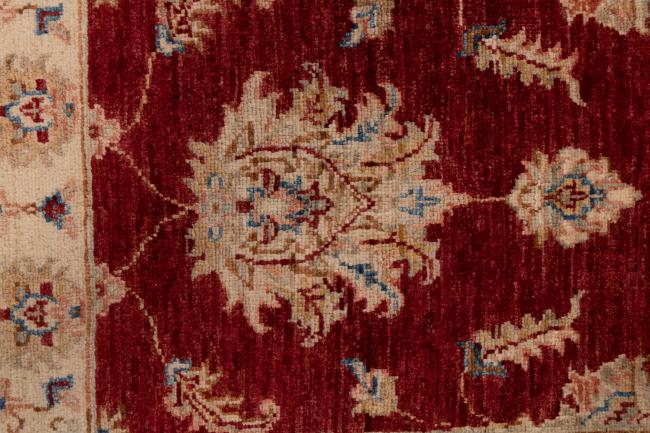 Ziegler Farahan - 5