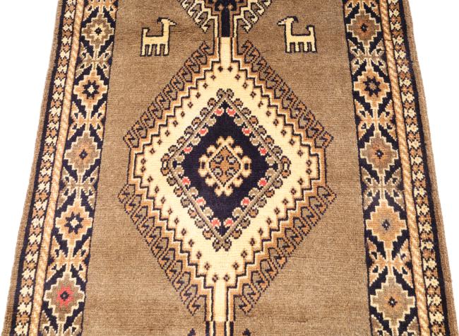 Shiraz - 5