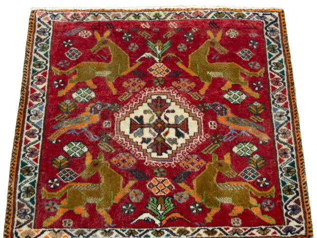 Shiraz - 3