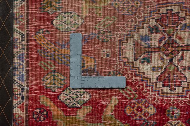 Shiraz - 4