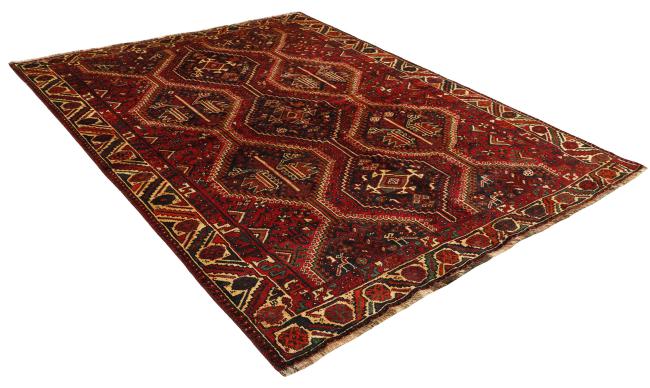 Shiraz - 4