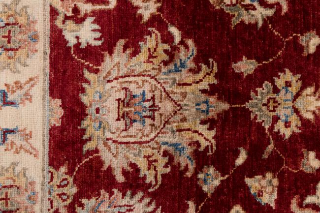 Ziegler Farahan - 5