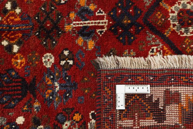 Shiraz - 1