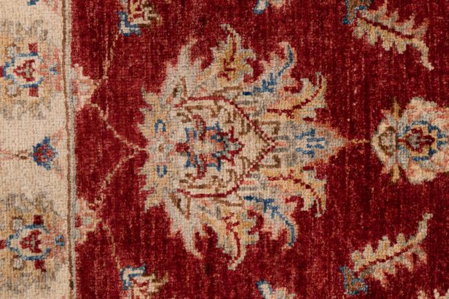 Ziegler Farahan - 5