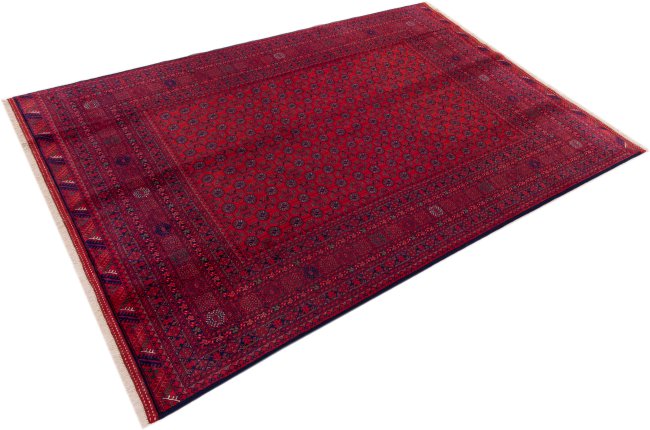 Afghan Mauri - 1