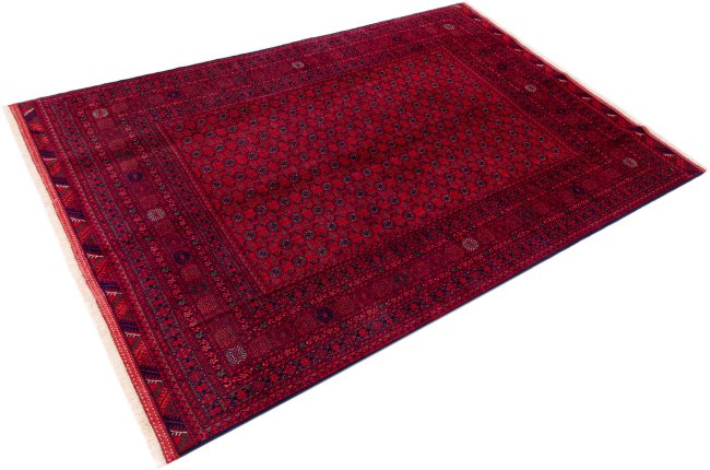 Afghan Mauri - 2