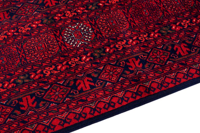 Afghan Mauri - 4