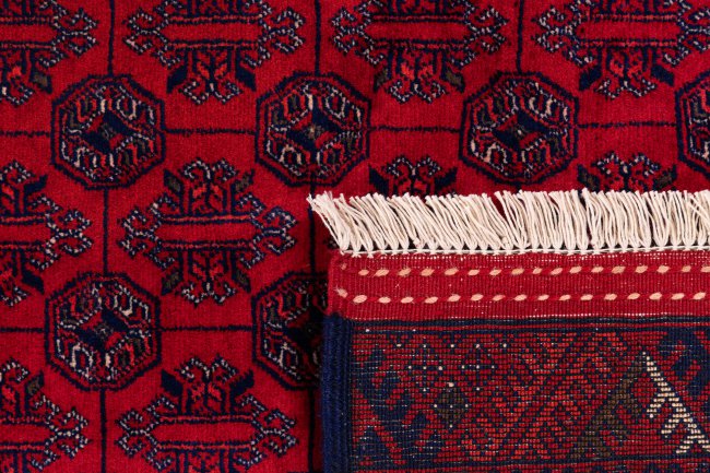 Afghan Mauri - 6