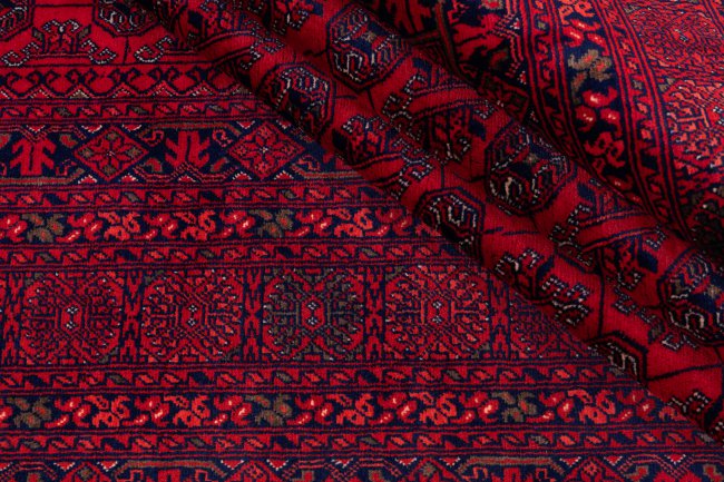 Afghan Mauri - 8