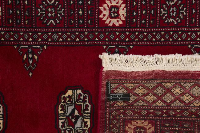 Pakistan Buchara 2ply - 1