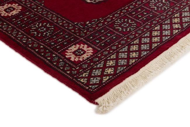 Pakistan Buchara 2ply - 3