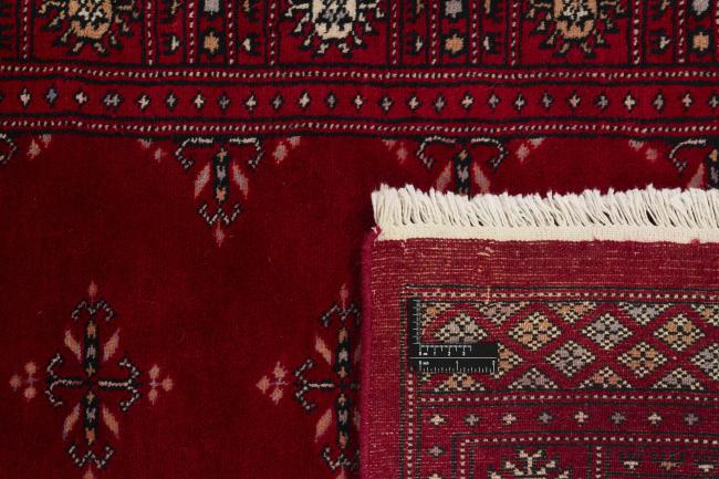 Pakistan Buchara 3ply - 1