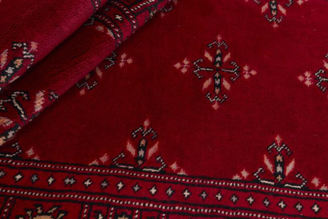 Pakistan Buchara 3ply - 2