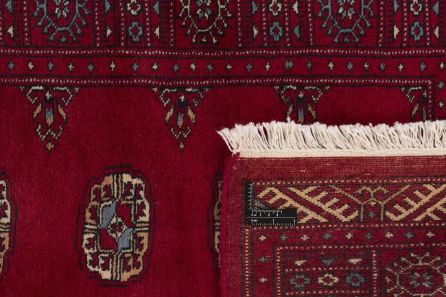 Pakistan Buchara 3ply - 1