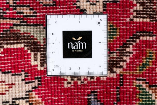 Tabriz - 10