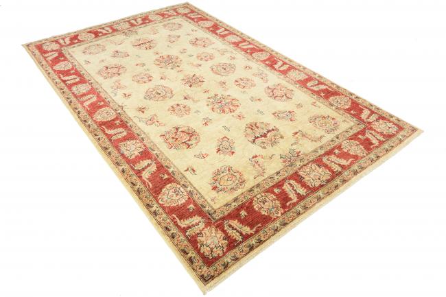 Ziegler Farahan - 3