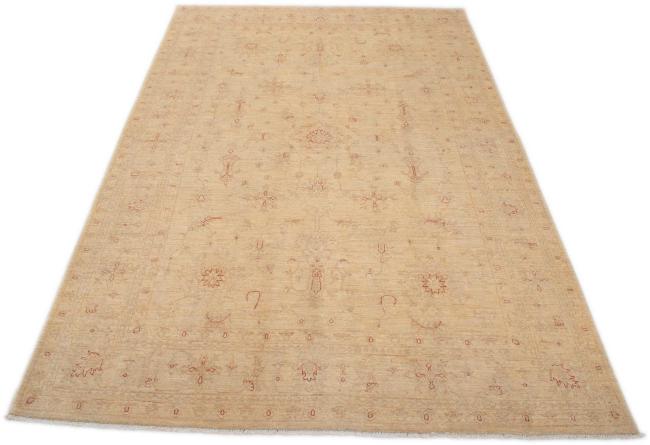 Ziegler Farahan - 3