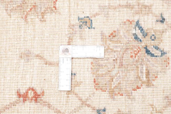 Ziegler Farahan - 10